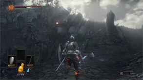 DS24.jpg