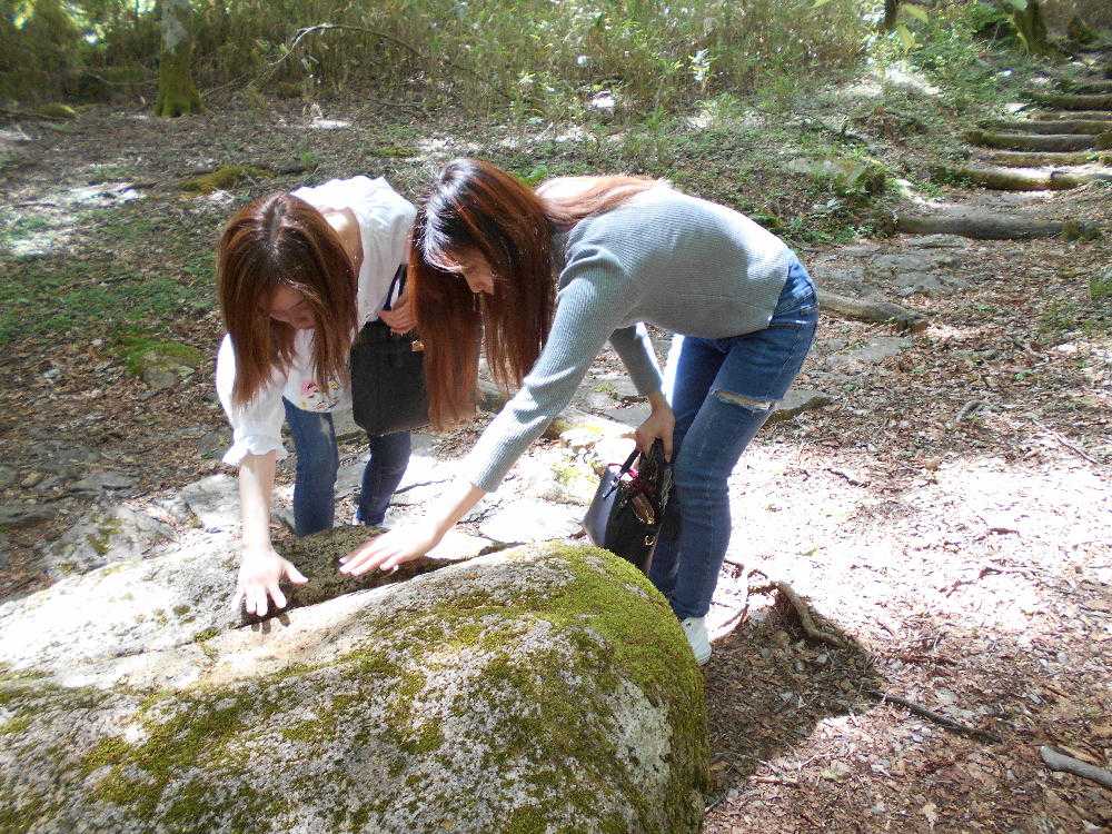 茶臼山のパワースポット「ビリビリ苔石」 | 自称「茶臼山の管理人エルくま」の「徒然雑記」 - 楽天ブログ