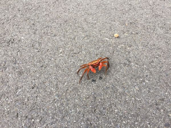 rblog-20180909070630-06.jpg