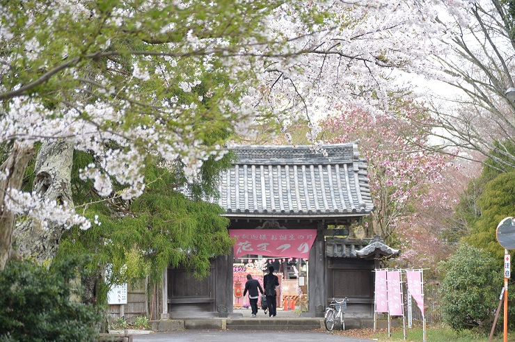 2015.4.10大洗の桜 010.JPG