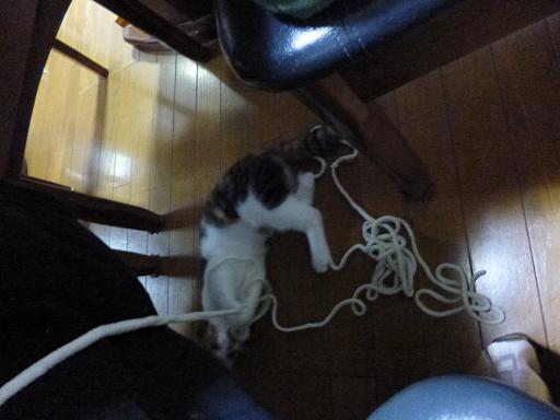 画像 2079.jpg
