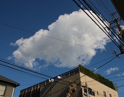 IMG_8539-5.jpg