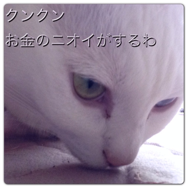 rblog-20130519190728-02.jpg
