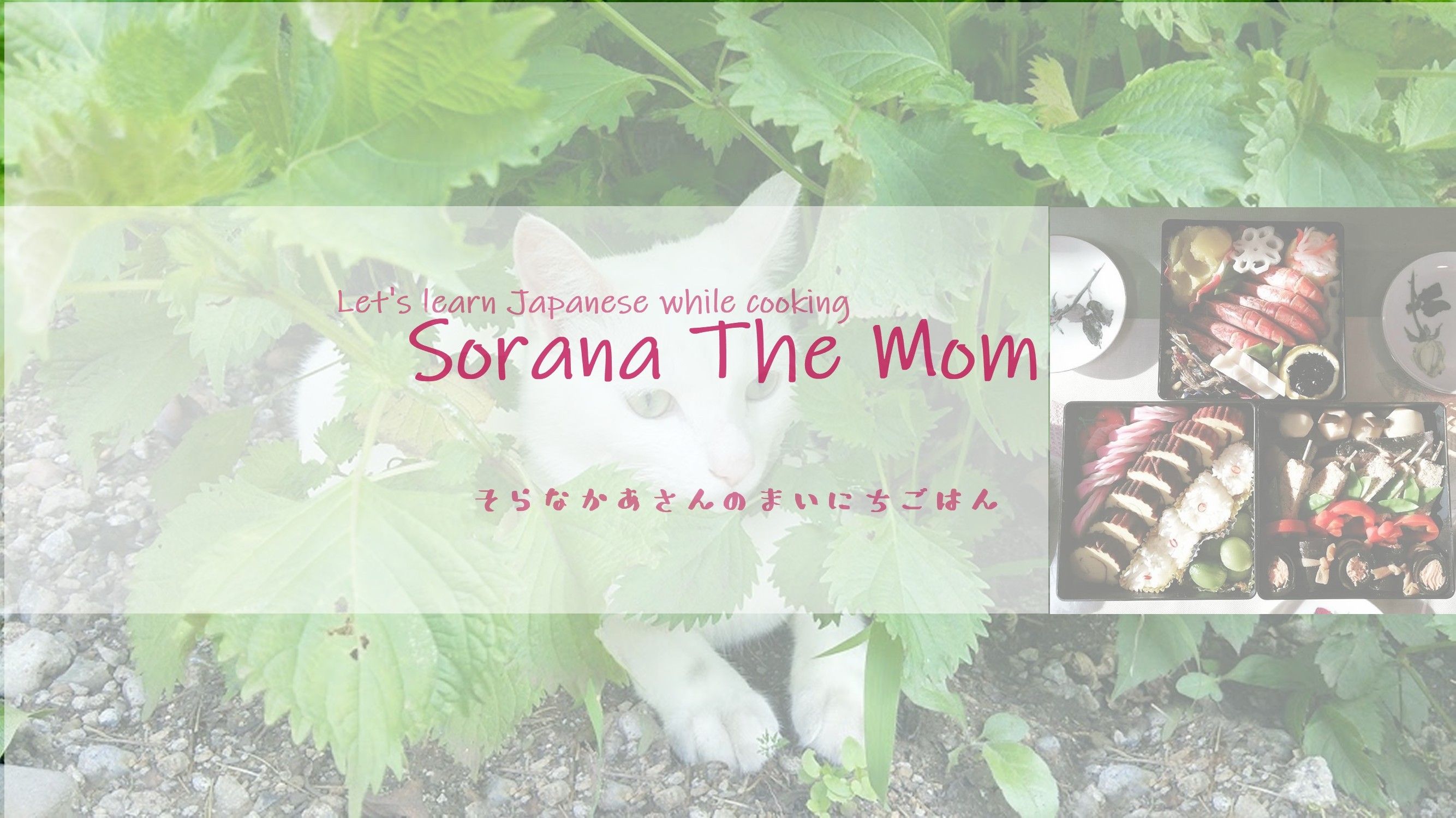 sorana the mom