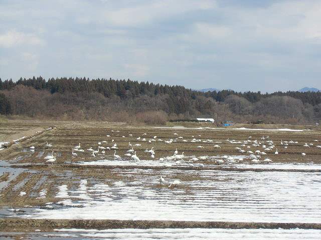 CIMG0262.jpg