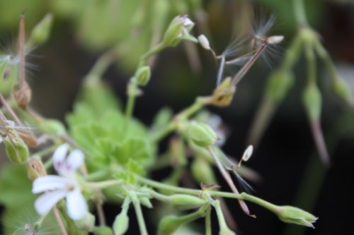 2015052704.JPG