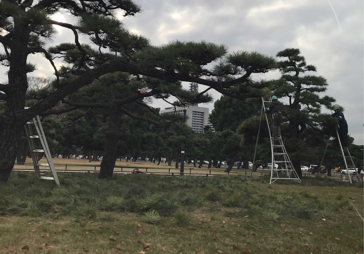 本 普通の女 駄目なものは駄目、いいものはいい/浜田 マキ子