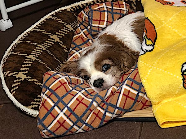 rblog-20180204182926-03.jpg