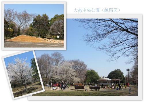 お花見２０１２「中央公園・和光樹林公園・新座緑道」4.jpg