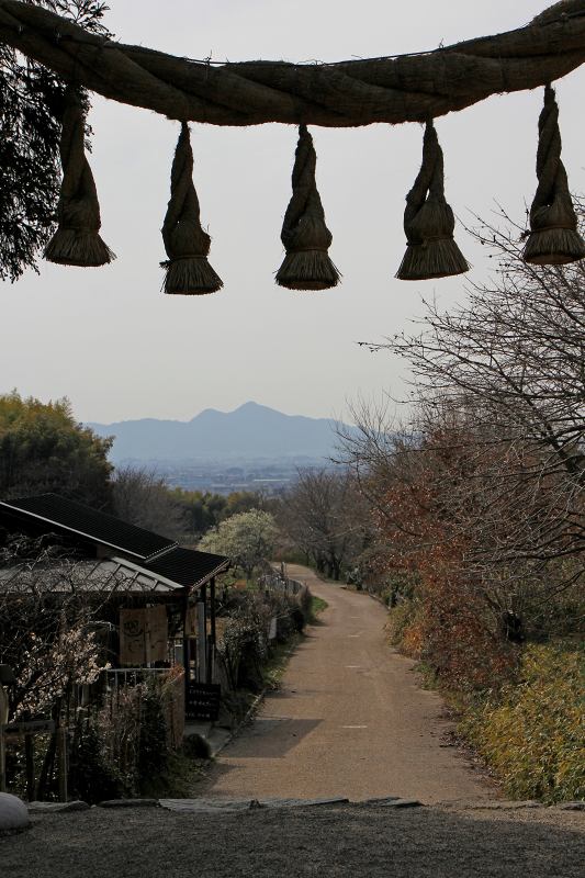 山の辺の道_6-2.jpg