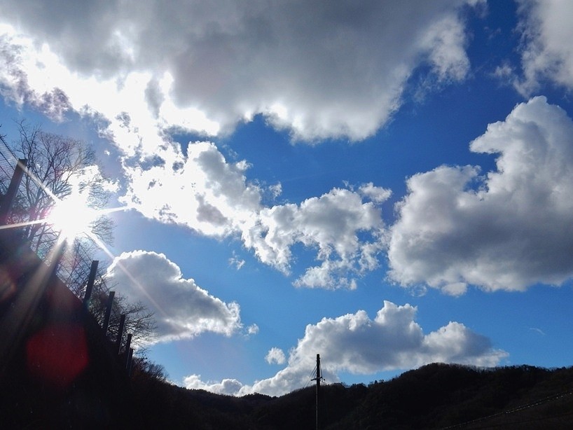 空8.JPG