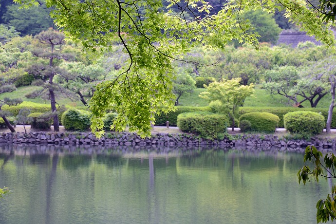 薬師-08
