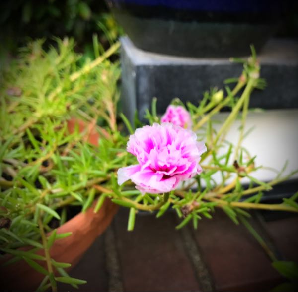 rblog-20161030163019-09.jpg