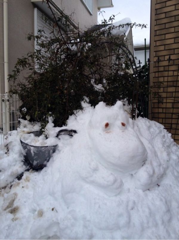 rblog-20140215205341-00.jpg
