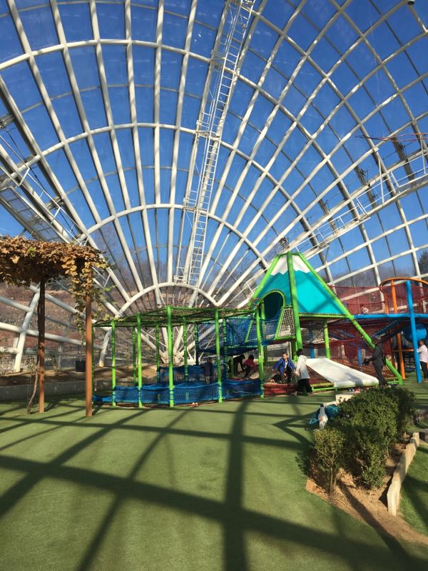 rblog-20190101101225-02.jpg
