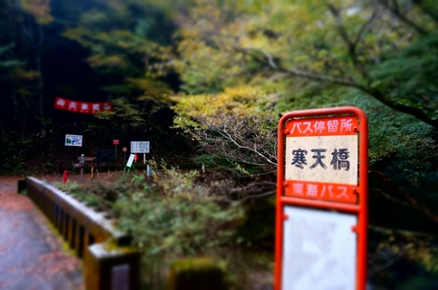 DSC01815.JPG