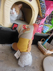 conv0299.JPG
