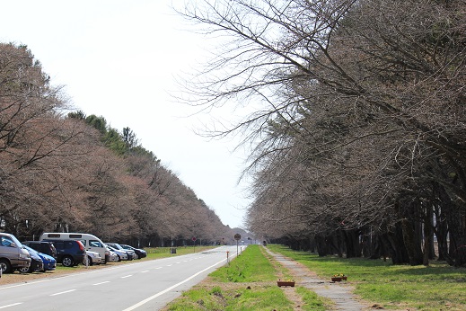 二十間道路.jpg