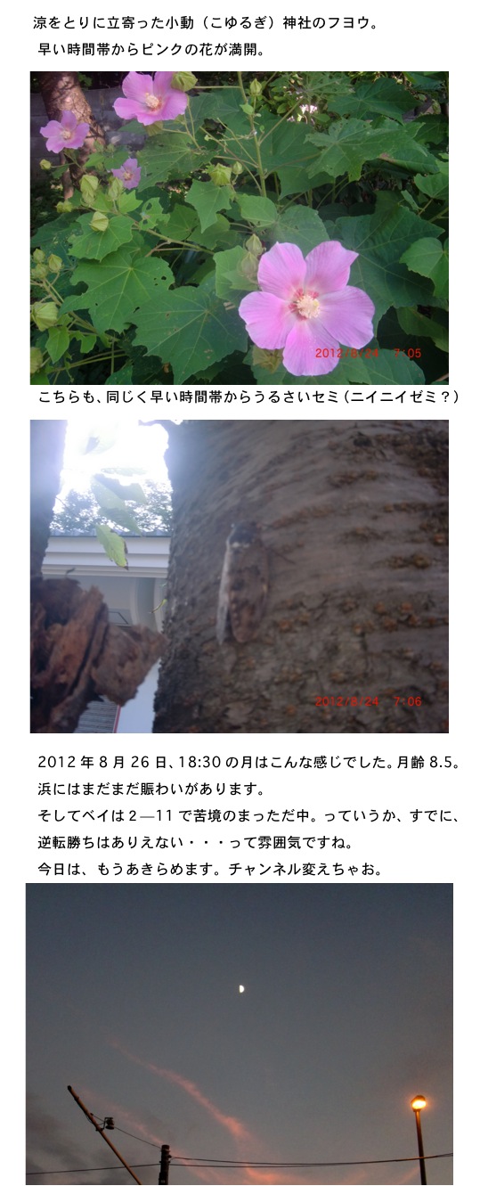 2012.08.26-5.jpg