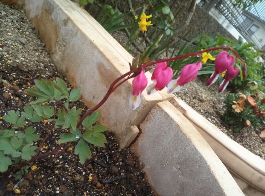 rblog-20140420215455-03.jpg
