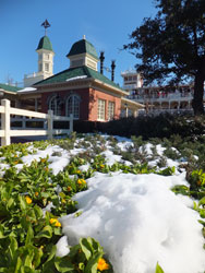 snow5