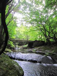 nasu 015.jpg