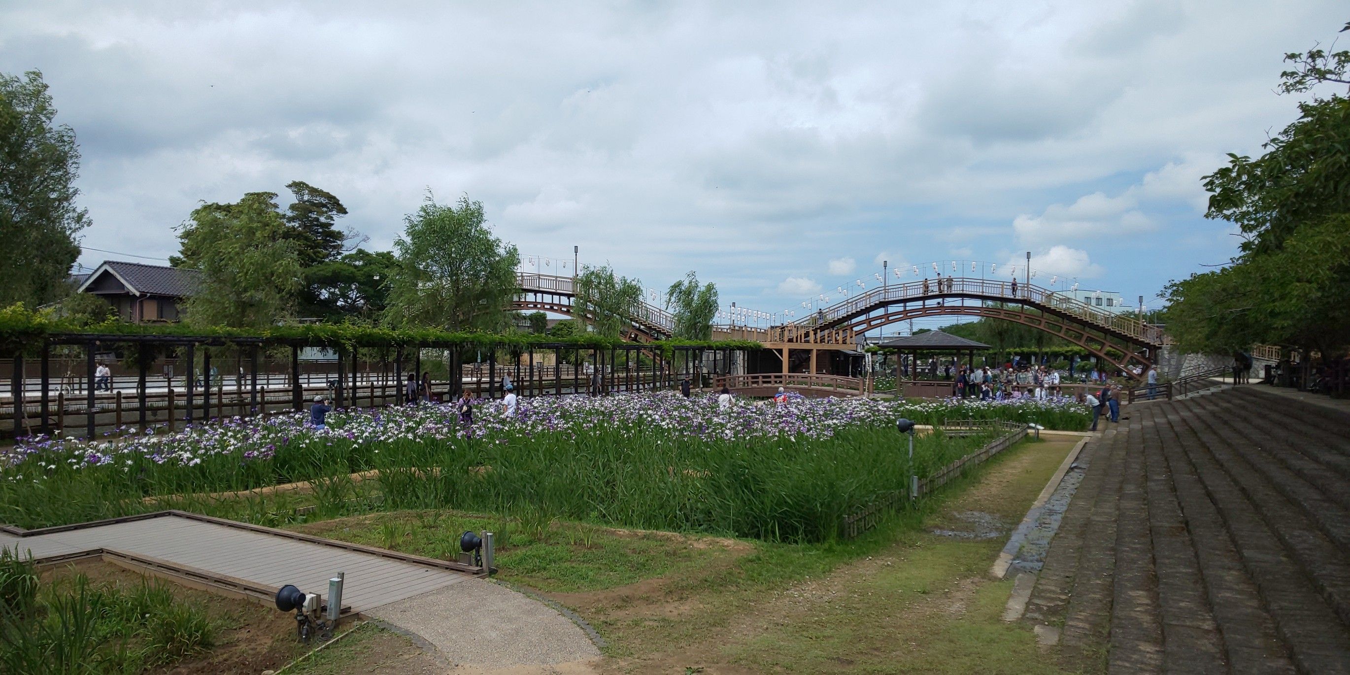水郷潮来あやめ祭り（その1） 散歩に行こうか by ファダイパパ 楽天ブログ