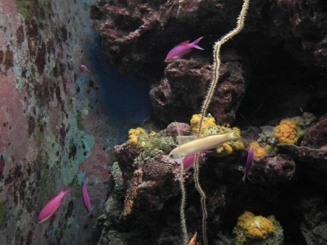 DSCF9177.JPG