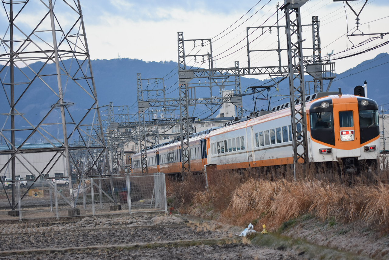 DSC_6896.JPG