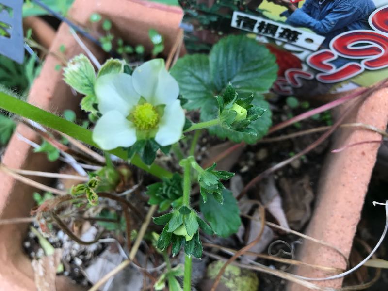 rblog-20180408160645-05.jpg