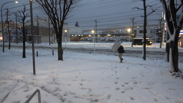 2014-2-15雪3.jpg