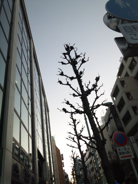130127_164942.jpg