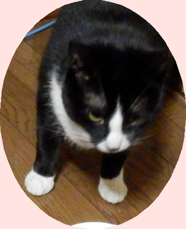 P3270051-crop.png