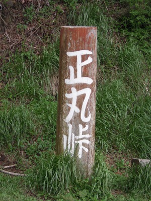DSCN0133.jpg