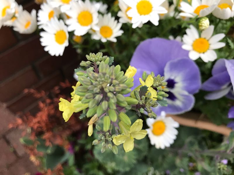 rblog-20190419194143-02.jpg