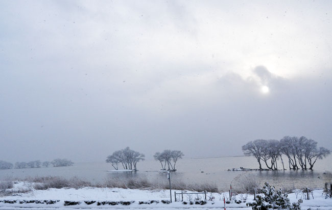 雪１