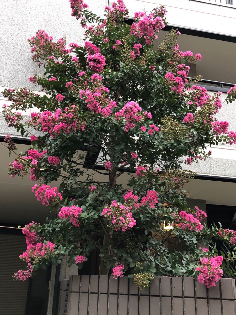 rblog-20180903094415-04.jpg