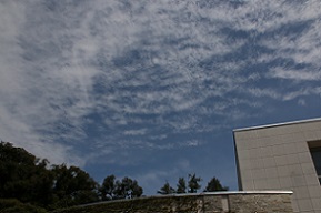 IMG_8457-11.jpg