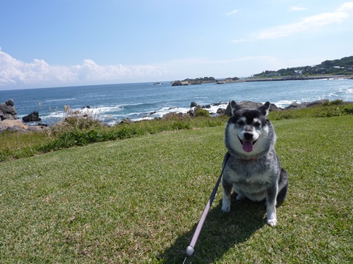 海をバックにパチリ