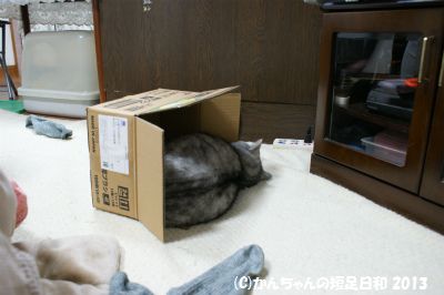 DSC09390.jpg