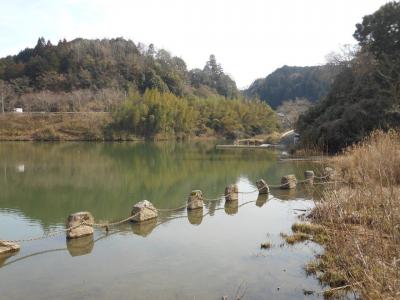 古老竹で遊ぶ  へらぶなの戯言 - 楽天ブログ