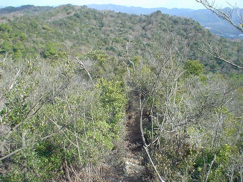 ９：２７　大海山－福西山縦走路