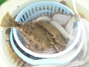 DSCN4723.JPG
