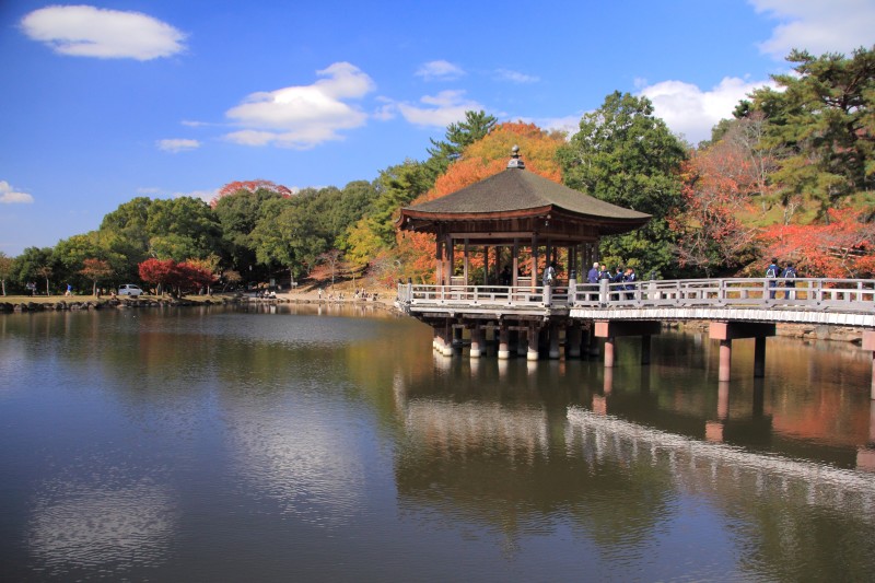 奈良公園・浮見堂_006.jpg