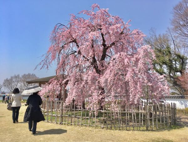 rblog-20180329182120-01.jpg