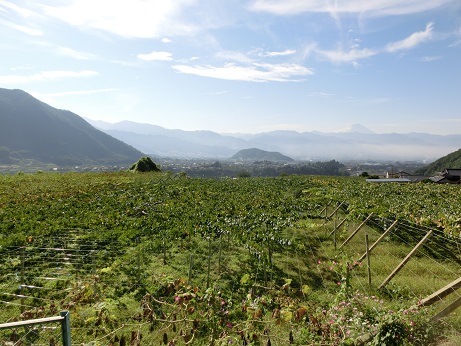 2014092102.jpg