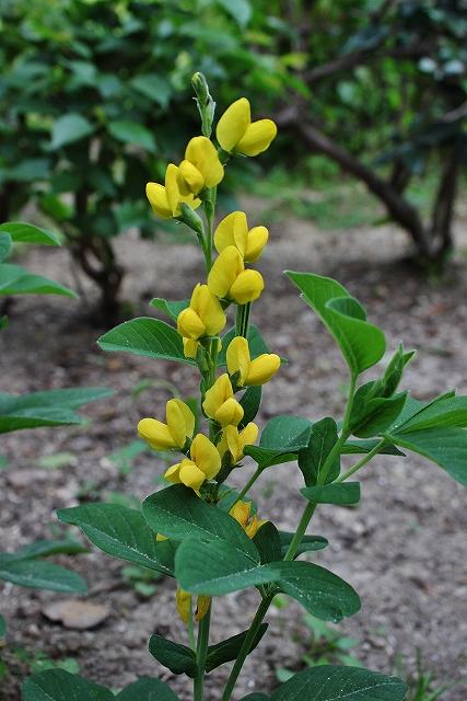 IMG_9495 (427x640).jpg