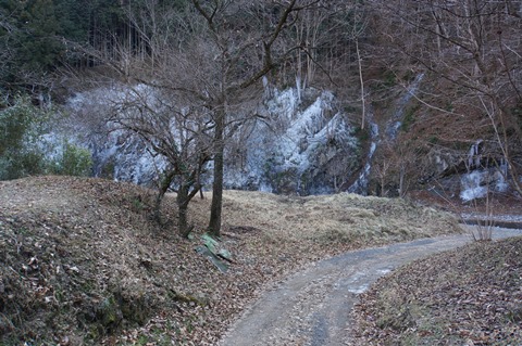 DSC01614.JPG