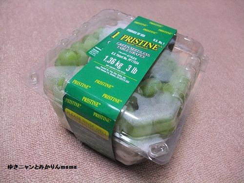 DSCF2746.jpg