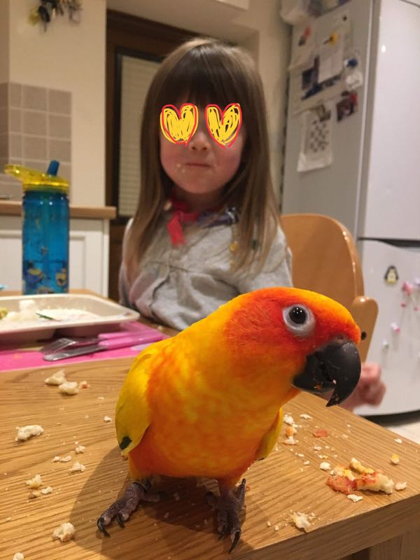 rblog-20190111210421-01.jpg
